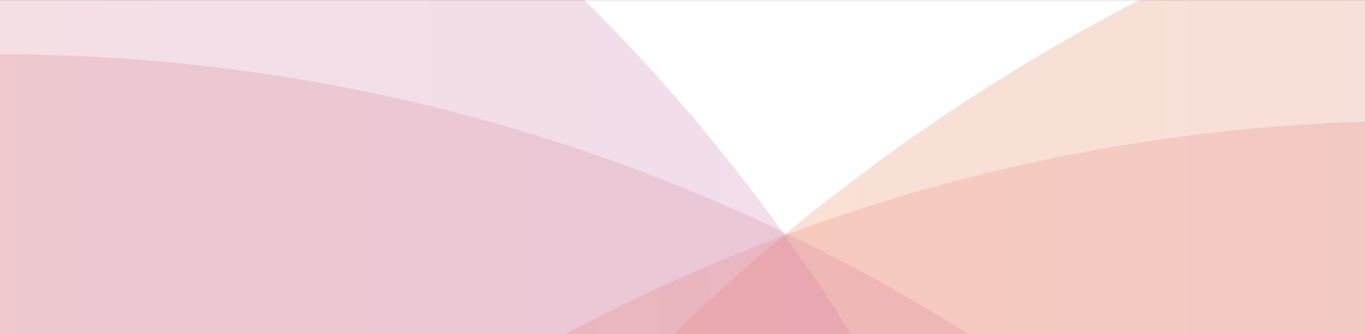 Mesh Engineering & Software Co.